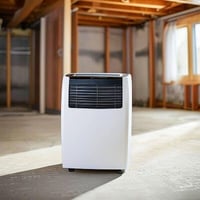 dehumidifier in basement