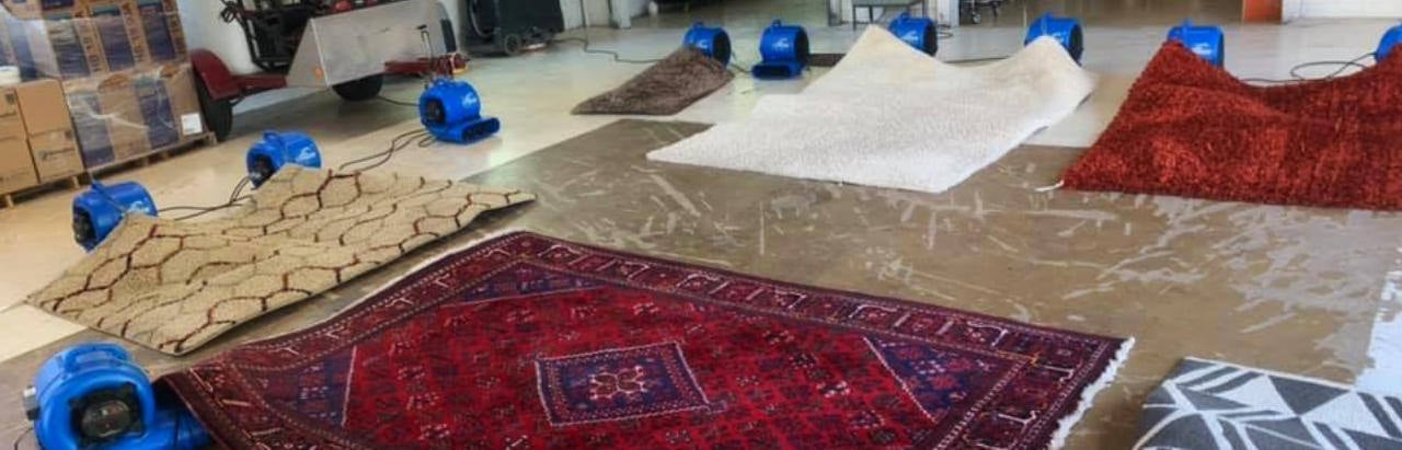 rug cleaning services