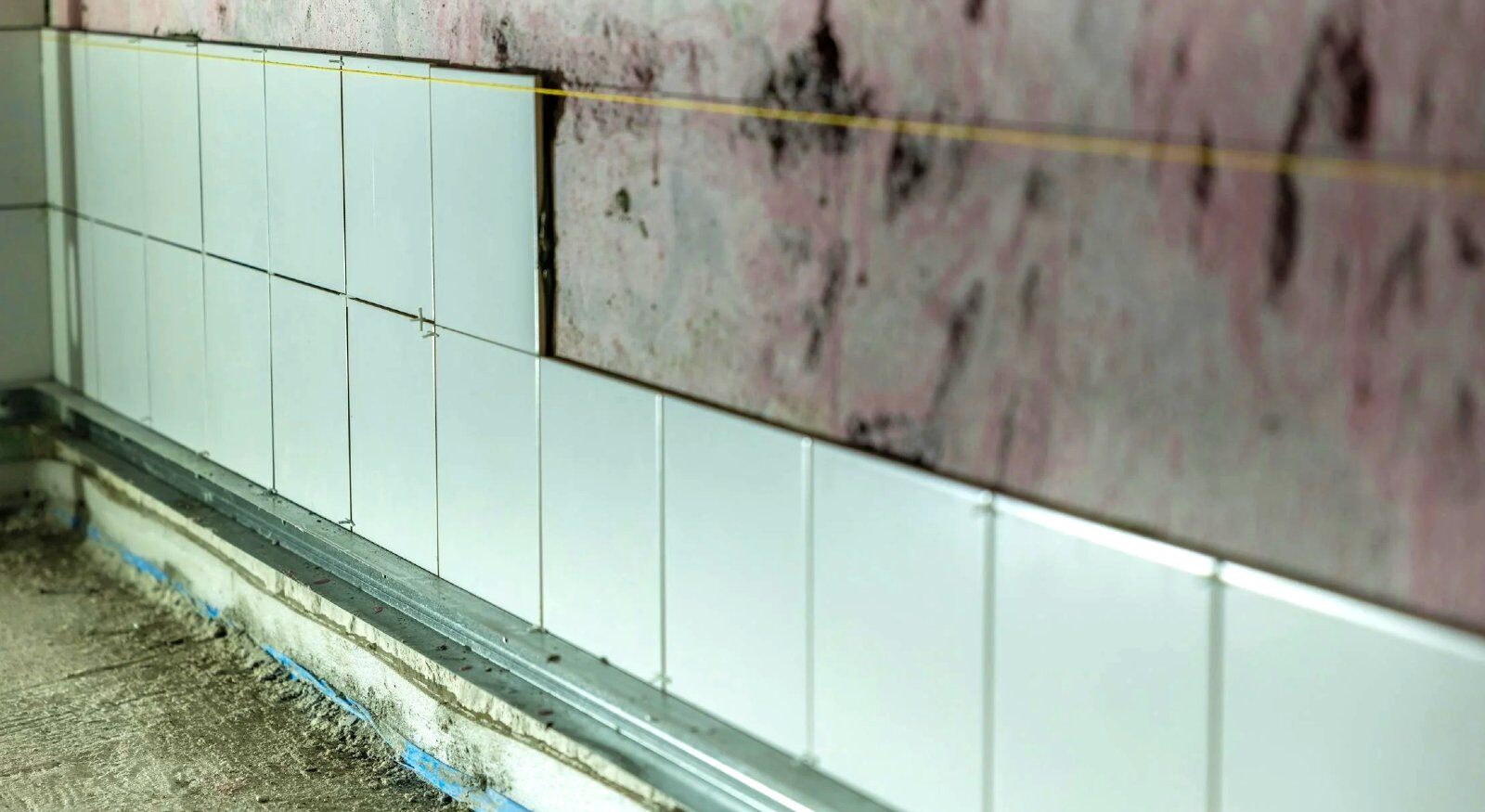 Mold in a wall in a bathroom.